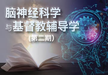 脑神经科学与基督教辅导学（二）