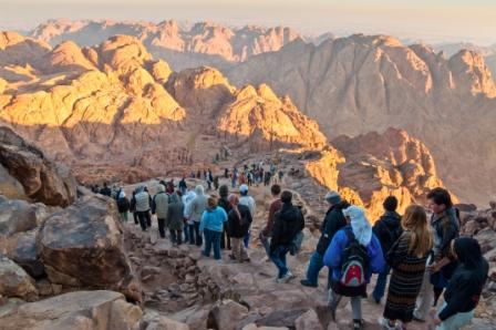 Mt Sinai