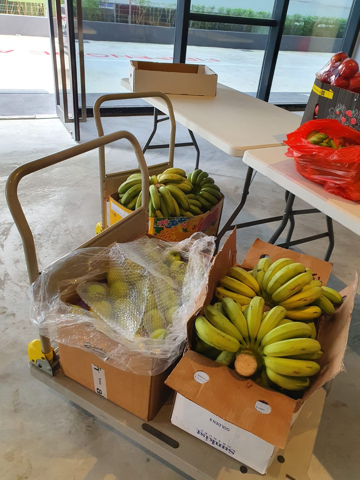 Food Distribution
