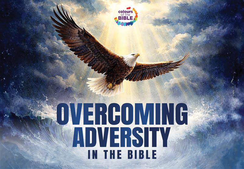 <strong>Colours of the Bible 2026: Overcoming Adversity in the Bible </strong>
