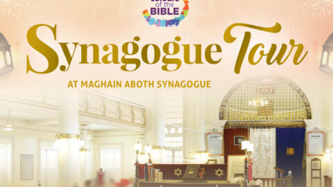 Synagogue Tour – November 2026